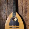 Cretan Mandolin student - Image 2