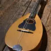 Cretan Mandolin student